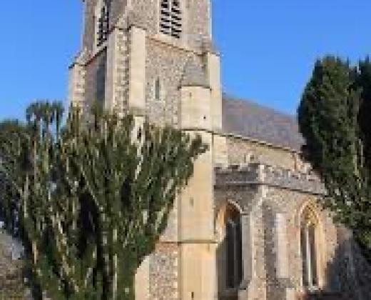link to St Peter's Gift Day