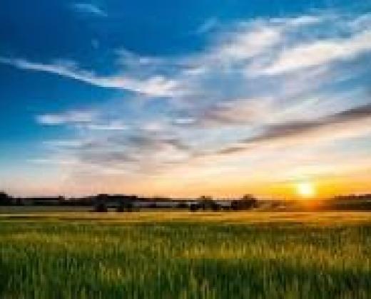 link to Fr Ben's June Message