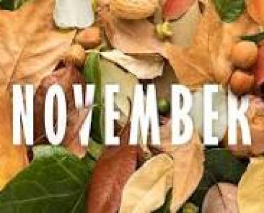 link to Fr Ben's November Message