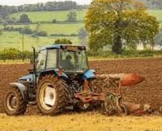 link to Fr Ben's February Message