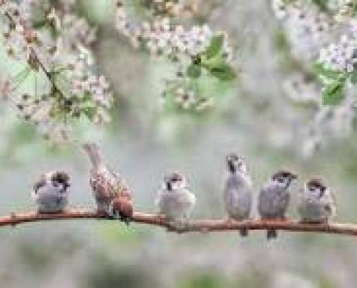 link to Fr Ben's May Message