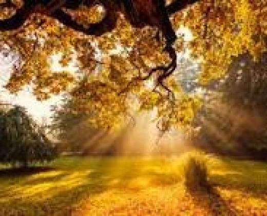 link to Fr Ben's September Message