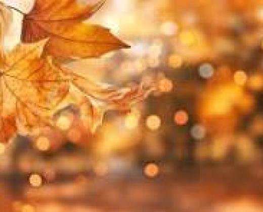 link to Fr Ben's October Message