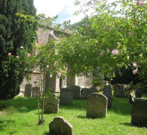 The old churchyard1
